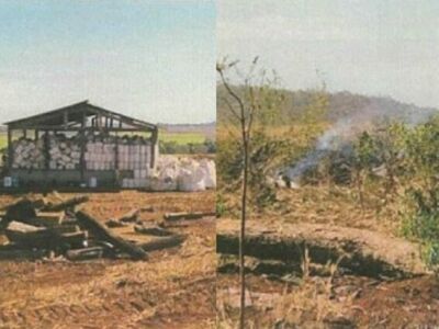 Imagem da notícia MP investiga queima ilegal de 28 hectares e descarte irregular de defensivos em fazenda de Pedro Gomes